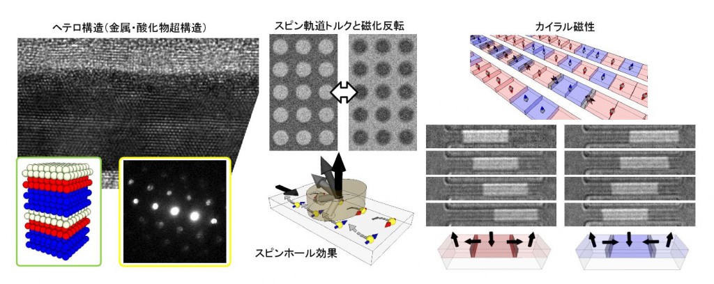 hayashi-lab